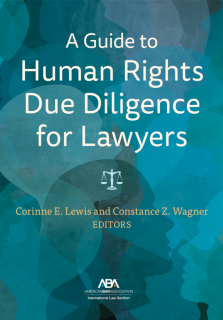 Chapter 11: Human Rights Due Diligence Practices for Adequate and Effective Consultation with Indigenous Peoples